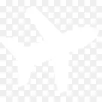 ��ɫ�ɻ�-������