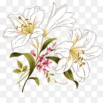 ��ɫ ��-������