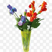 ��ƿ����-������