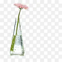 ��ƿ-������