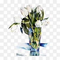 白色郁金香-空若网 白色郁金香-空若网