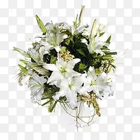 ��ɫ�ٺ�-������