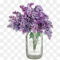 鲜花薰衣草-空若网 鲜花薰衣草-空若网