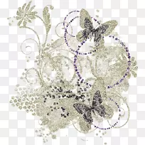 视觉艺术蝴蝶昆虫-记忆-空若网 视觉艺术蝴蝶昆虫-记忆-空若网