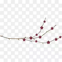 植物茎藤树-记忆-空若网 植物茎藤树-记忆-空若网