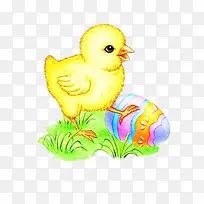 卡通小鸡-空若网 卡通小鸡-空若网