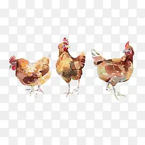 水彩小鸡-空若网 水彩小鸡-空若网