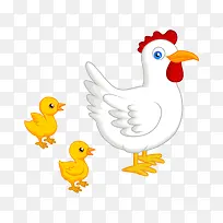 ���� ��ͨ����-������