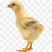 卡通手绘-空若网 卡通手绘-空若网