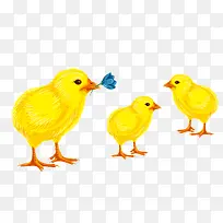 卡通手绘小鸡-空若网 卡通手绘小鸡-空若网