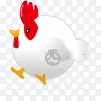 白色可爱小鸡-空若网 白色可爱小鸡-空若网