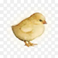 �ֻ�С��-������