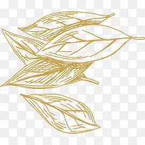 Ҷ�ӻ��ʳ������-������