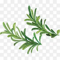 叶子火锅食物佐料-空若网 叶子火锅食物佐料-空若网