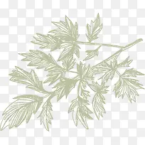 叶子火锅食物佐料-空若网 叶子火锅食物佐料-空若网