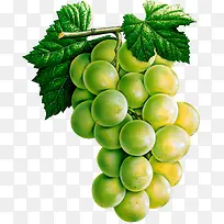 3dˮ��ͼƬˮ��ʸ��ͼ-������