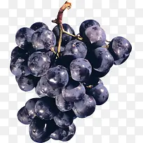 卡通素材食物图片-空若网 卡通素材食物图片-空若网