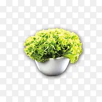 ����-������