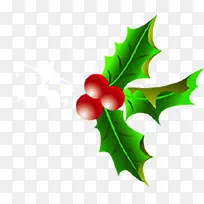 ��ɫҶ��ʥ���ڻ��ͼƬ-������