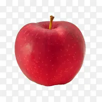 3d素描水果矢量图-空若网 3d素描水果矢量图-空若网