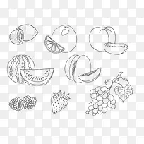 手绘水果-空若网 手绘水果-空若网