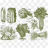 矢量食物-空若网 矢量食物-空若网