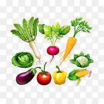 蔬菜矢量图-空若网 蔬菜矢量图-空若网