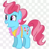 ���ˡ������⣬ֽ�����⣬���ܲ����⣬С��ָ��-���ˡ�-������