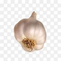 卡通食物图标 调料蒜-空若网 卡通食物图标 调料蒜-空若网