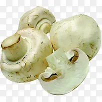 Ģ���߲�ˮ��ͼƬ-������