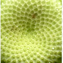 ˮ����������-������