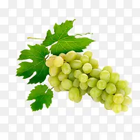 提子水果图片-空若网 提子水果图片-空若网