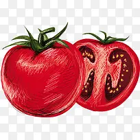 矢量红番茄-空若网 矢量红番茄-空若网