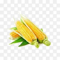 蔬菜玉米-空若网 蔬菜玉米-空若网