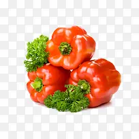 ºì½·²Ë½·Êß²Ë-¿ÕÈôÍø ºì½·²Ë½·Êß²Ë-¿ÕÈôÍø