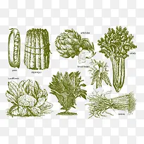 ʸÁ¿ÊÖ»æÊß²Ë-¿ÕÈôÍø ʸÁ¿ÊÖ»æÊß²Ë-¿ÕÈôÍø