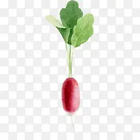 卡通手绘蔬菜装饰海报设计萝卜-空若网 卡通手绘蔬菜装饰海报设计萝卜-空若网