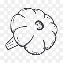 手绘蔬菜-空若网 手绘蔬菜-空若网