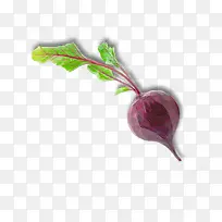 蔬菜-空若网 蔬菜-空若网