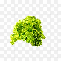 ÂÌÉ«¼òÔ¼Êß²Ë×°ÊÎͼ°¸-¿ÕÈôÍø ÂÌÉ«¼òÔ¼Êß²Ë×°ÊÎͼ°¸-¿ÕÈôÍø