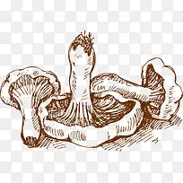 蔬菜-空若网 蔬菜-空若网