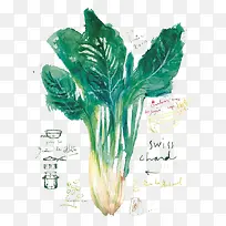 ÊÖ»æÊß²Ë-¿ÕÈôÍø ÊÖ»æÊß²Ë-¿ÕÈôÍø