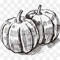 手绘南瓜-空若网 手绘南瓜-空若网