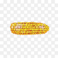 手绘玉米-空若网 手绘玉米-空若网