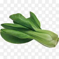 菜-空若网 菜-空若网