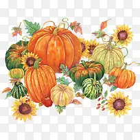 水彩南瓜-空若网 水彩南瓜-空若网
