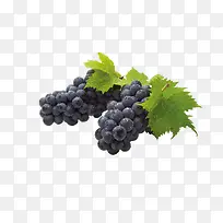 葡萄水果-空若网 葡萄水果-空若网