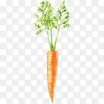 卡通手绘蔬菜装饰海报设计胡萝卜-空若网 卡通手绘蔬菜装饰海报设计胡萝卜-空若网