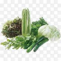 彩色蔬菜-空若网 彩色蔬菜-空若网