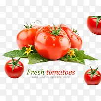 �����������߲�-������